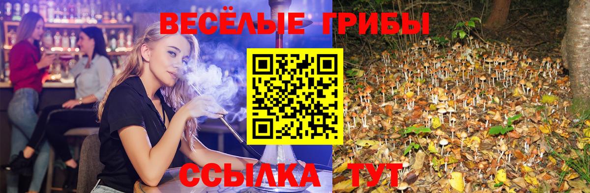 Псилоцибиновые грибы GOLDEN TEACHER Лесозаводск