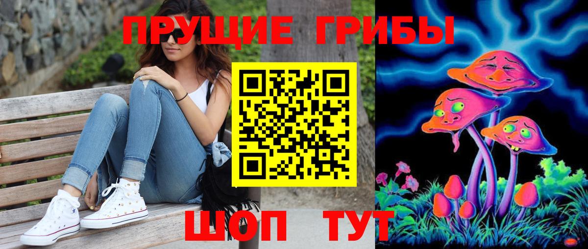 Галлюциногенные грибы Psilocybe  Вход с VPN  Лесозаводск 